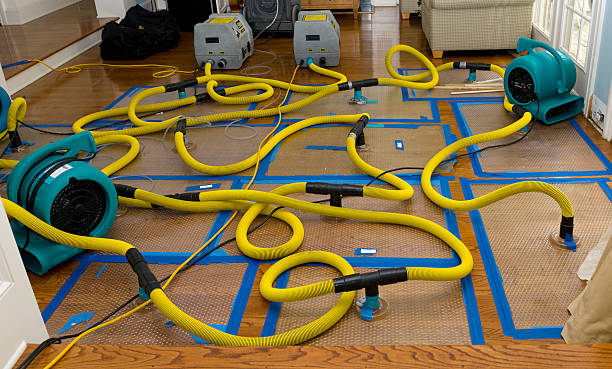 Professional Storm Water Damage Restoration technician working in Bowdon, GA